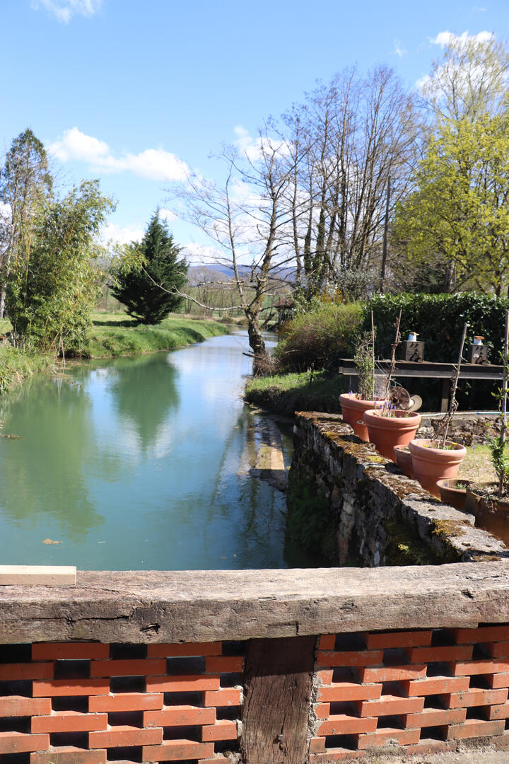 Les trésors d'un moulin sur le Solnan_Villemotier