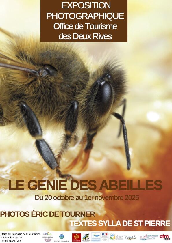 Le Génie des Abeilles_Auvillar