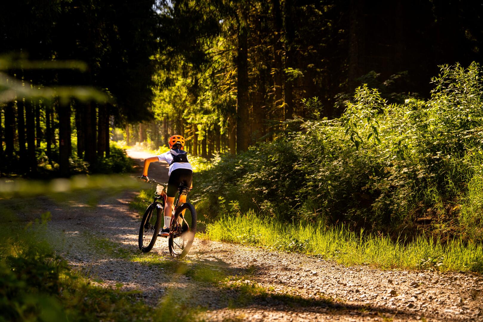 N° 12 - Les fruits rouges - Espace VTT-FFC Massif des Bois Noirs_Noirétable