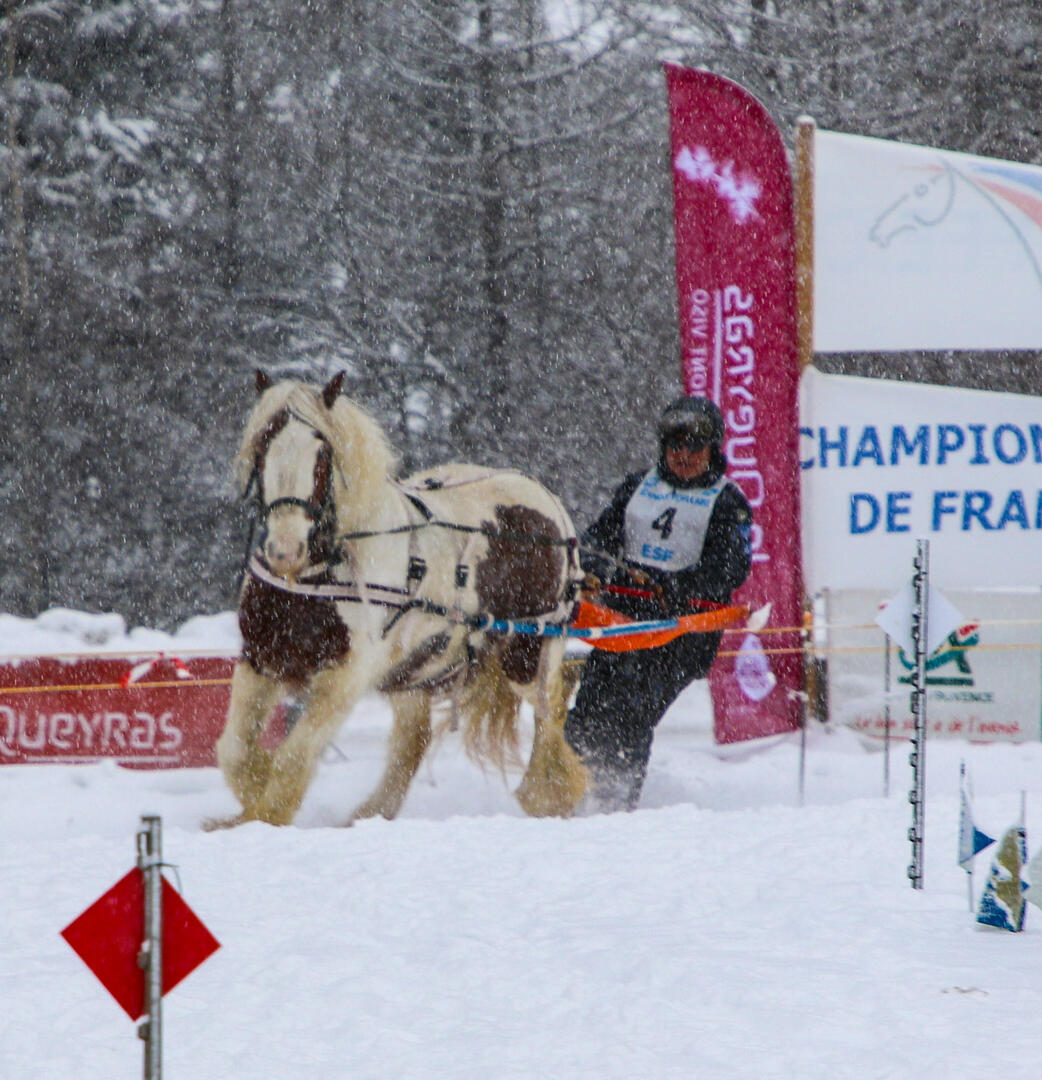 Championnat de France de Ski joëring_Ceillac