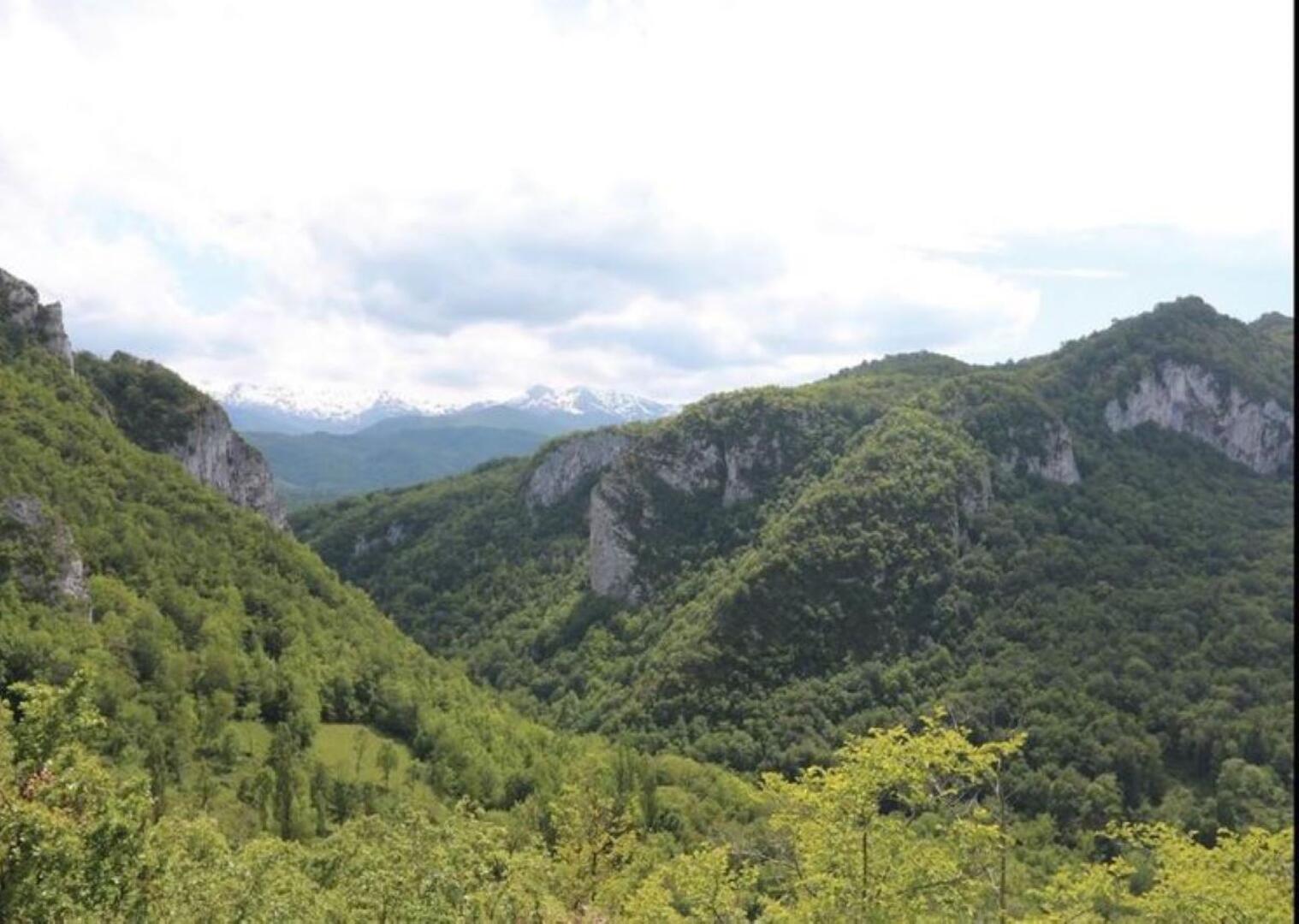 Les gorges de Péreille