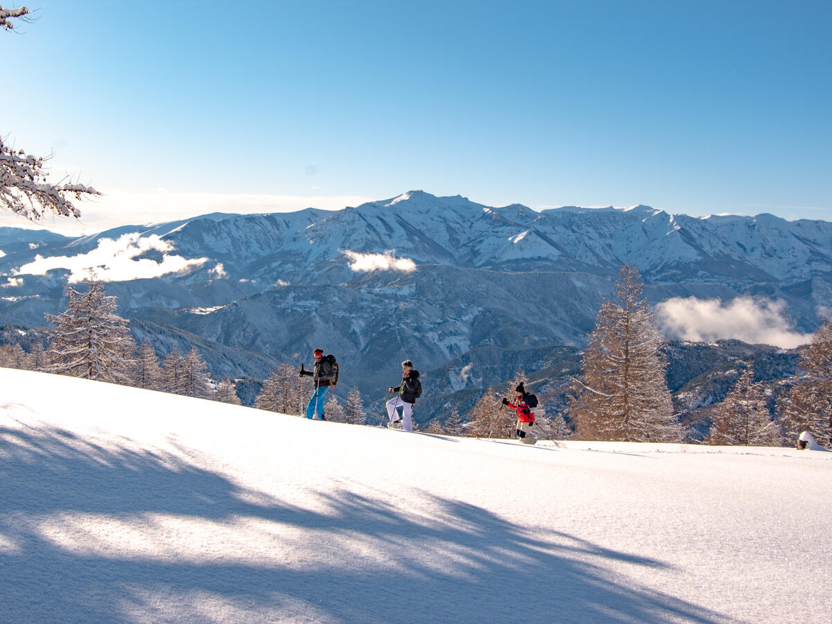 Chemin des Neiges - N° 405_Valberg