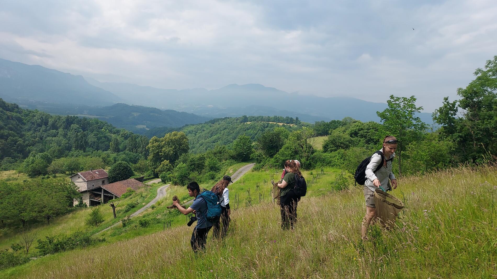 Les 24h naturalistes_Saint-Maximin
