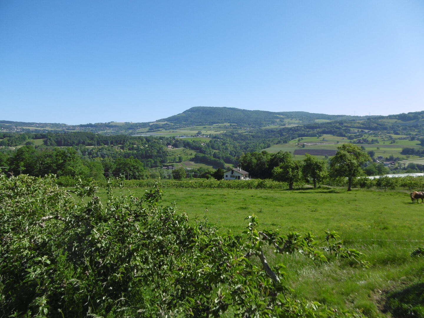 Point de vue Salève verger depsui route de chosal Cercier