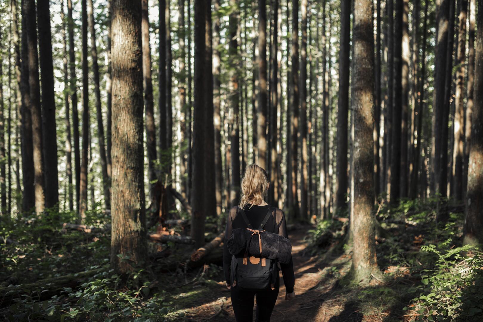 Sortie énergétique en forêt_Allevard