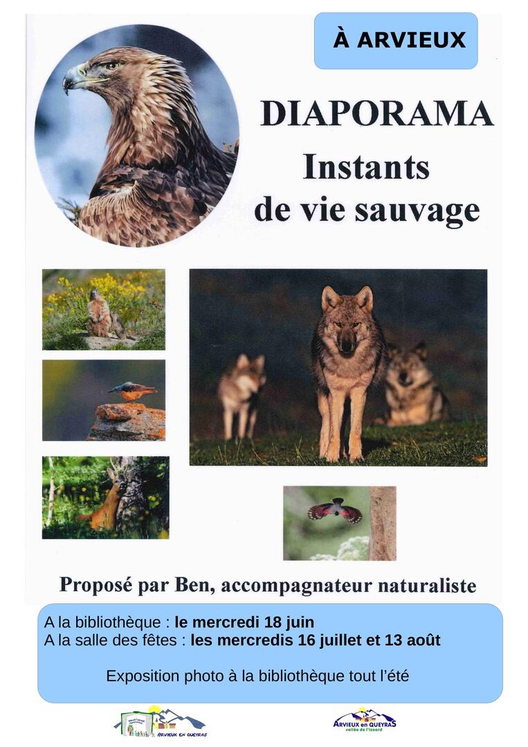 Diaporama - conférence "La Faune des Alpes du Sud"_Arvieux