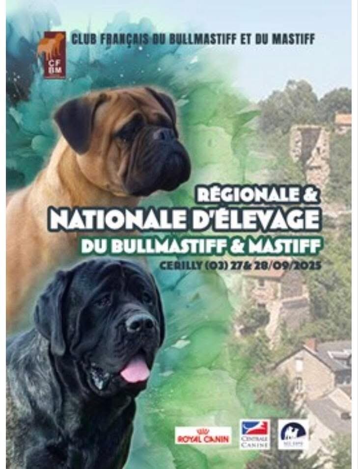 Nationale d'élevage Bullmastiff et Mastiff_Cérilly