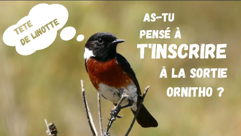 Initiation à l'ornithologie_Ceyzérieu