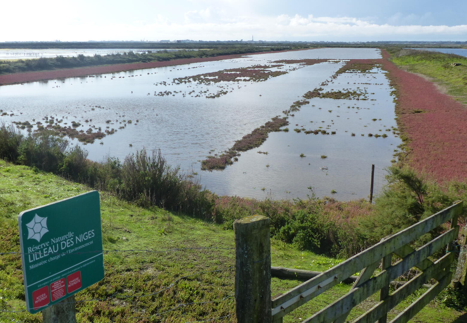 Marais de la RN