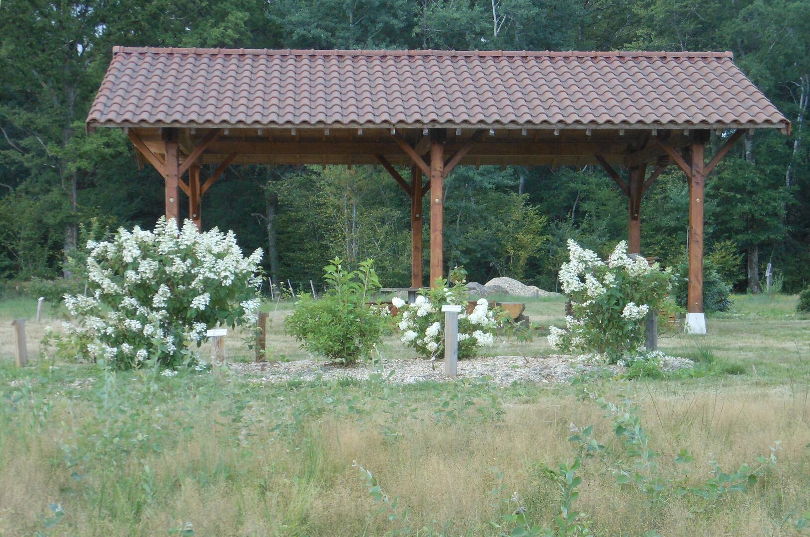 la halle et les hortensias