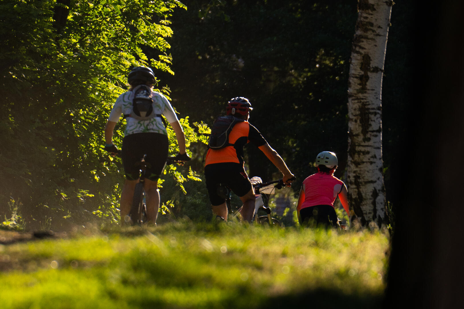 N° 13 La pierre branlante - Espace VTT-FFC Massif des Bois Noirs_Noirétable