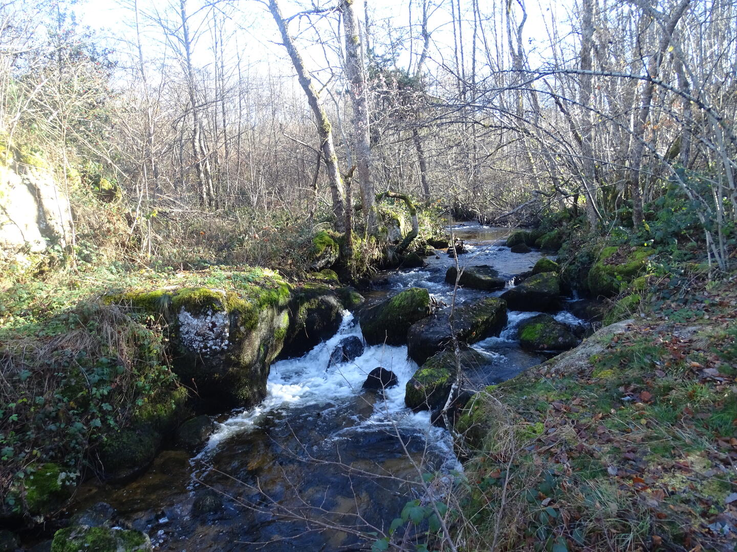 Circuit pédestre Espace naturel sensible : Le grand circuit du Vallon du Barbenan_Arfeuilles