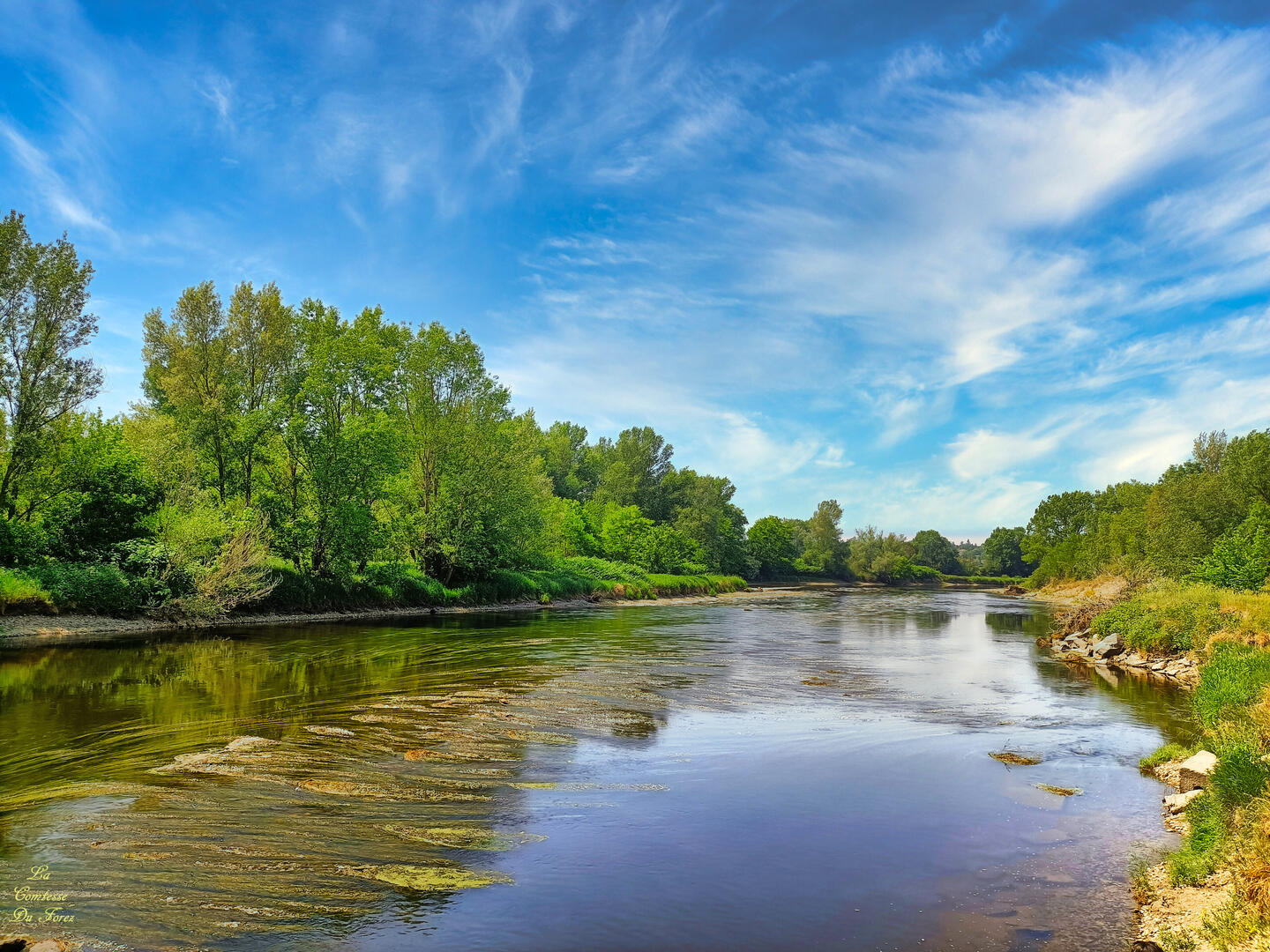 Bords de Loire