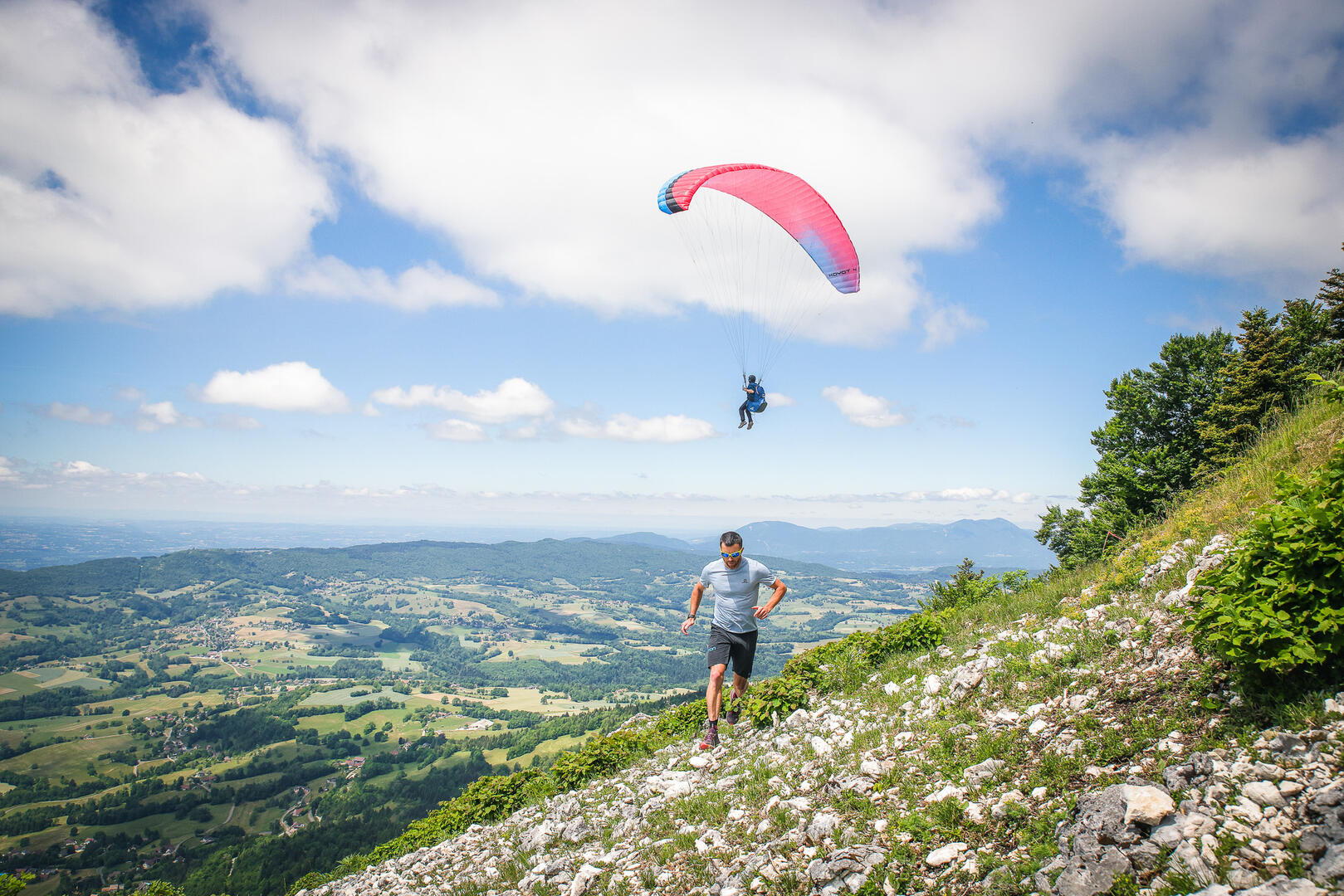 La verticale du chamois
