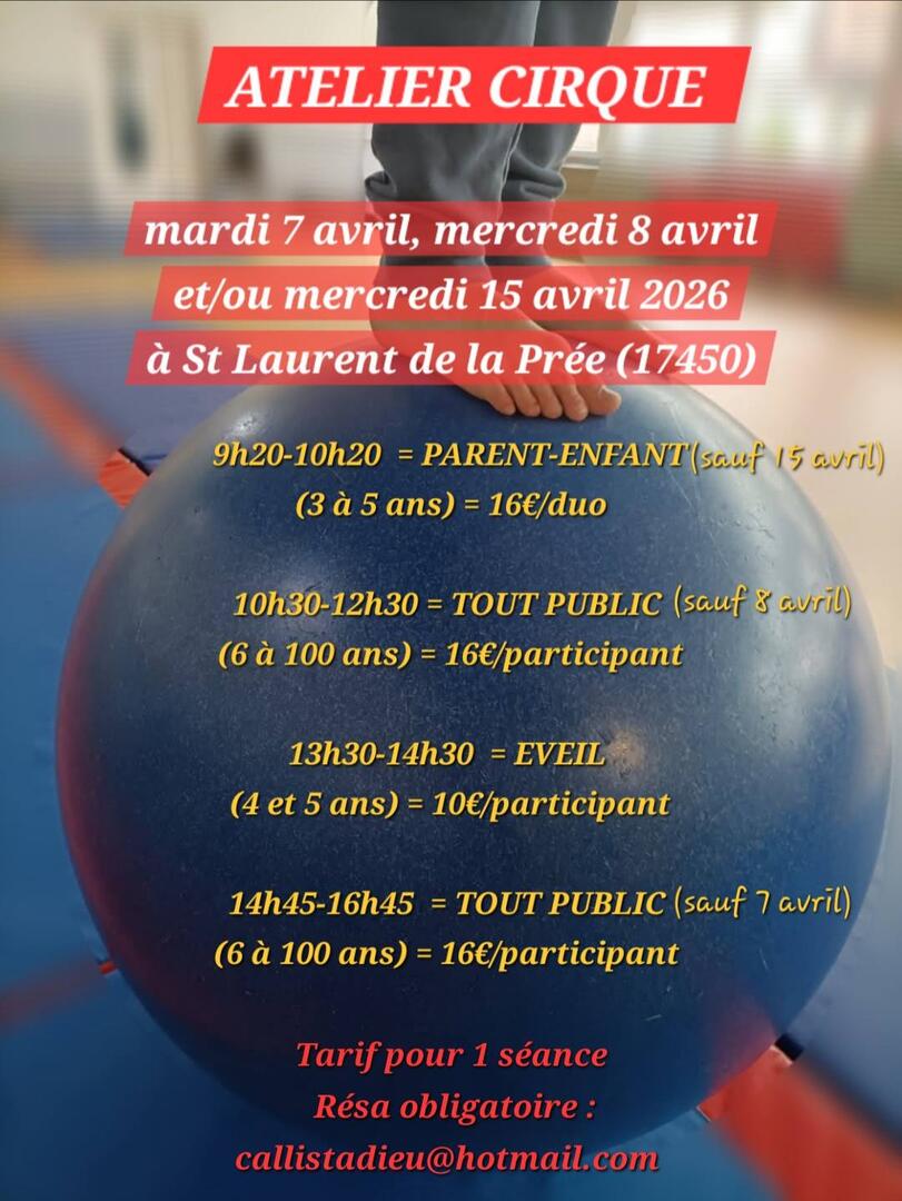 affiche stage cirque