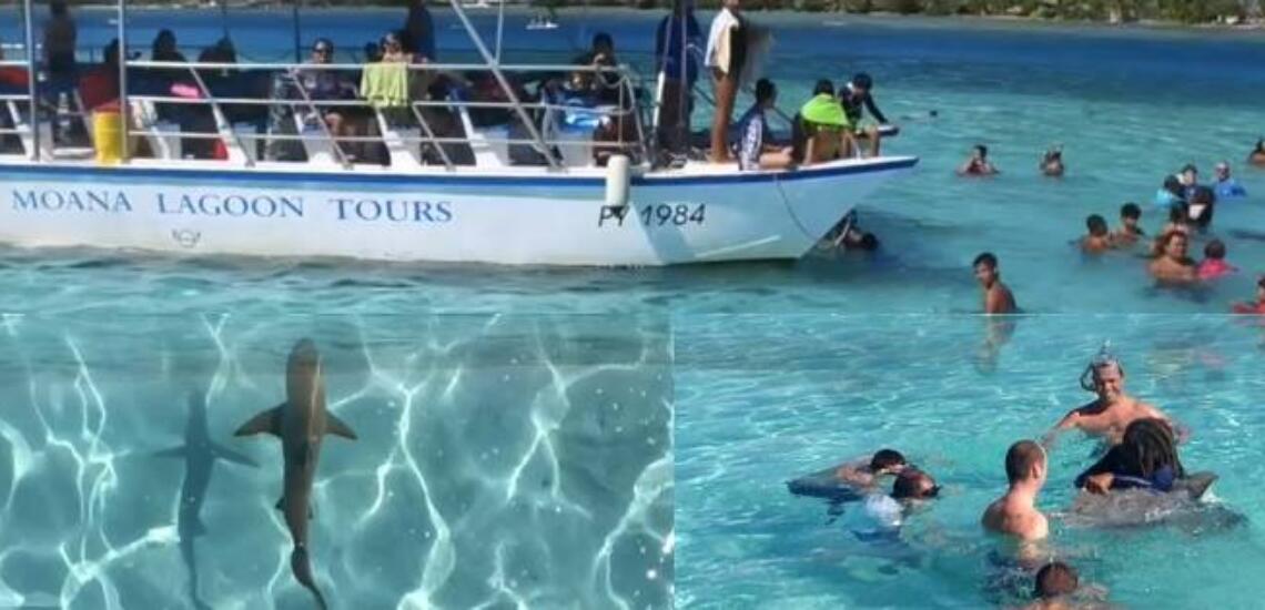 Albert Tours - Tahiti Tourisme