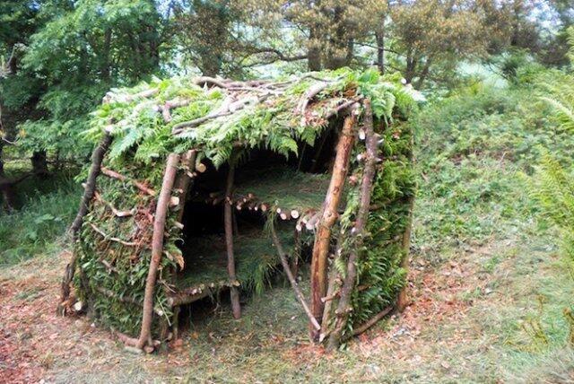 Construis ta cabane