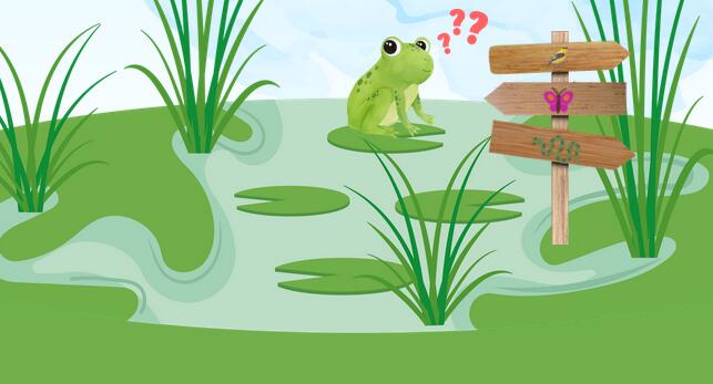 La grande aventure de la petite grenouille_Ceyzérieu