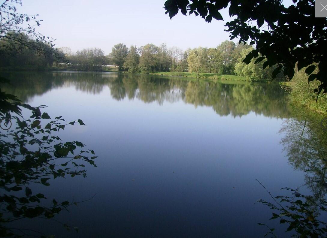 Randonnée - L'étang Ronton_Viriat