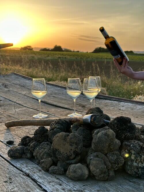 Soirée truffes & huile d’olive au cœur du Luberon au Moulin Bastide du Laval à Cadenet_Cadenet