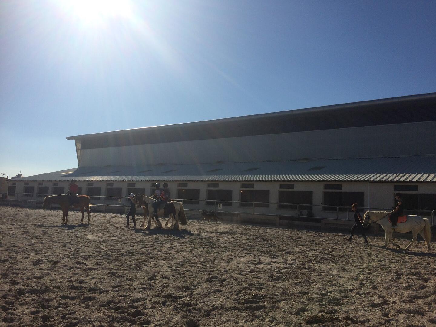 Escales Patrimoine : Balades à cheval