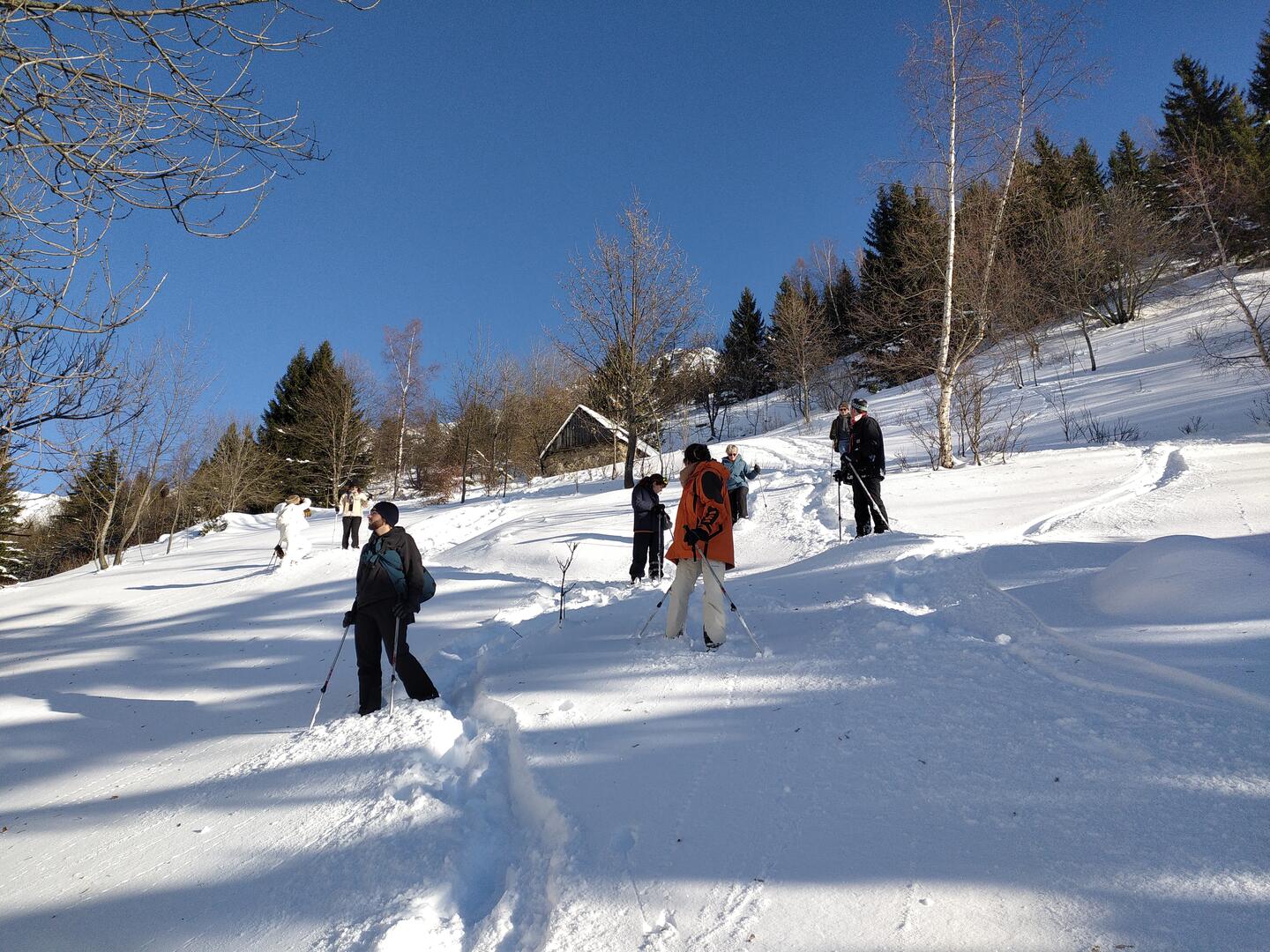 Raquettes - L'Olmet sur les traces du lièvre variable_Oz-en-Oisans