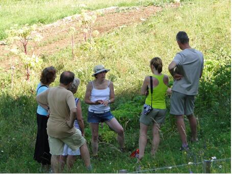 Visite