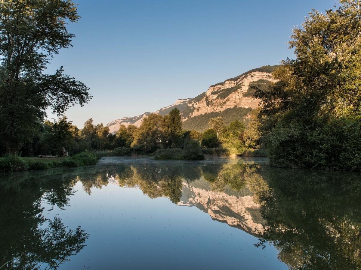 Marais de Montfort