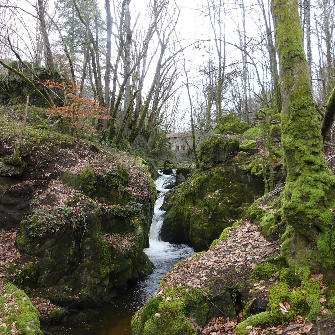 ENS : Le petit circuit du Vallon du Barbenan_Arfeuilles
