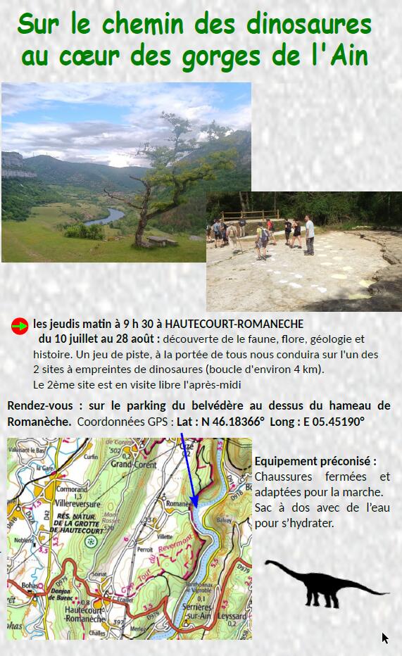 Empreintes de dinosaures