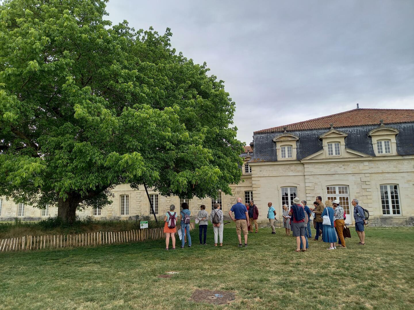 Viste du jardin