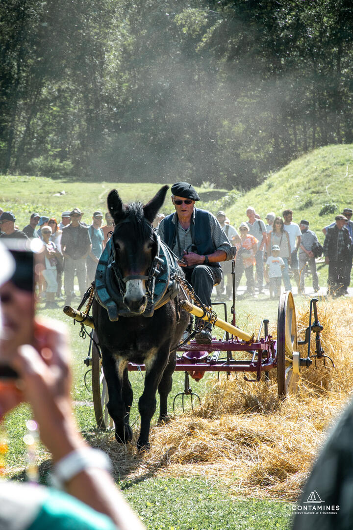 Fête du Mulet_Les Contamines-Montjoie