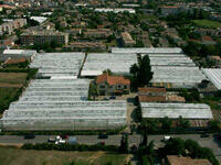 img-name-mising