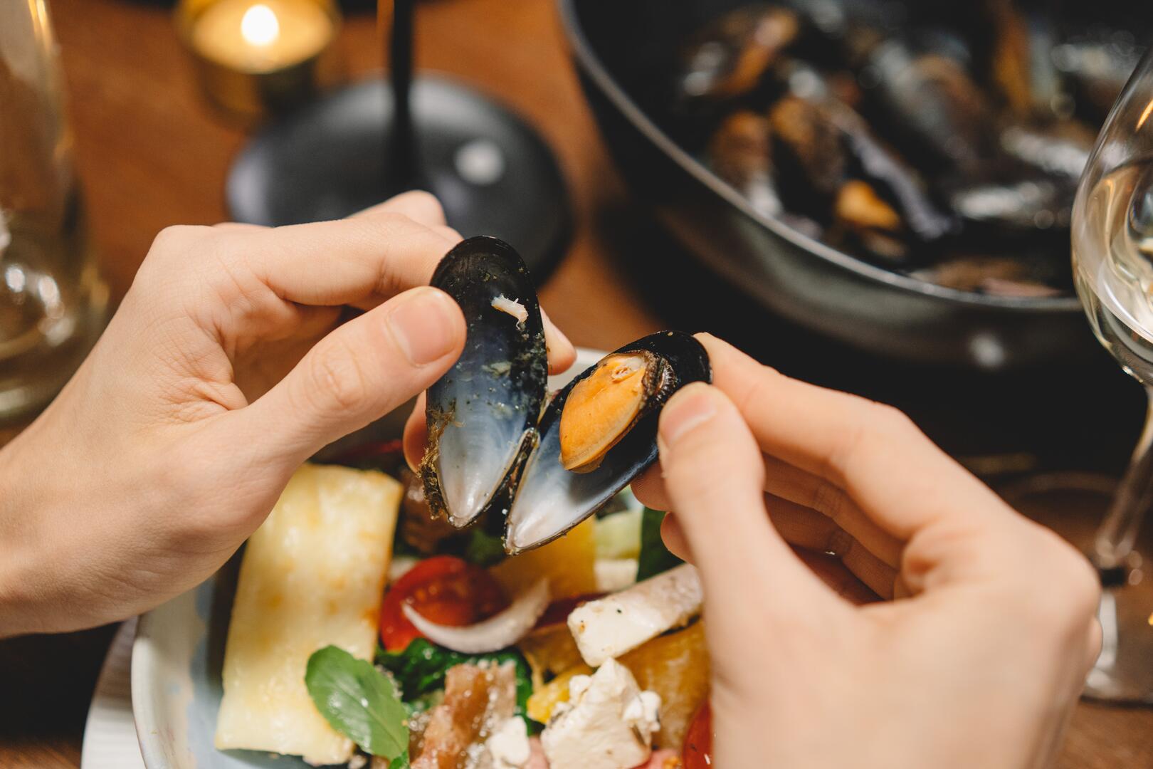 Ou Cueillir Des Moules Sur La Cote D'opale 2022