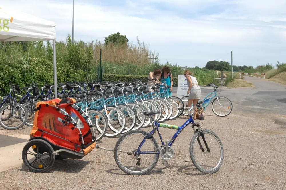 TAM VELOMAGG (Montpellier) Montpellier Tourism