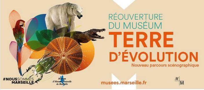 Museum d'Histoire naturelle Marseille