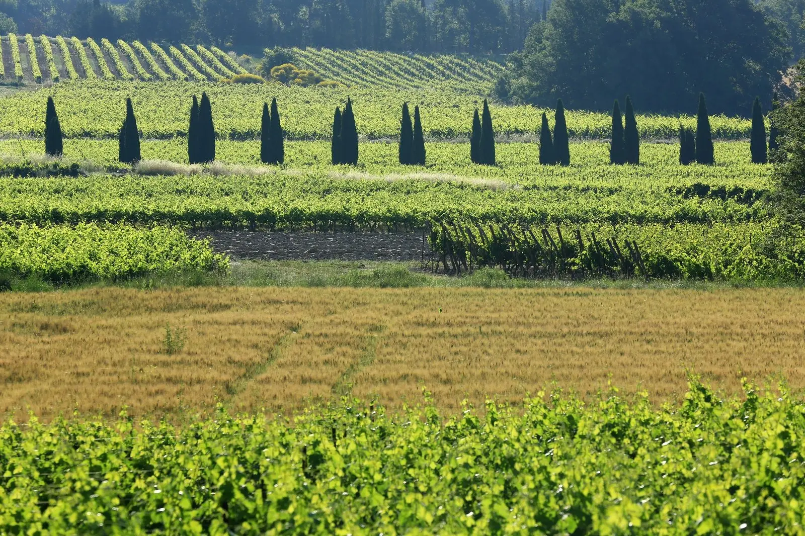 Sannes (Sannes) ProvenceAlpesCôte d'Azur Tourism