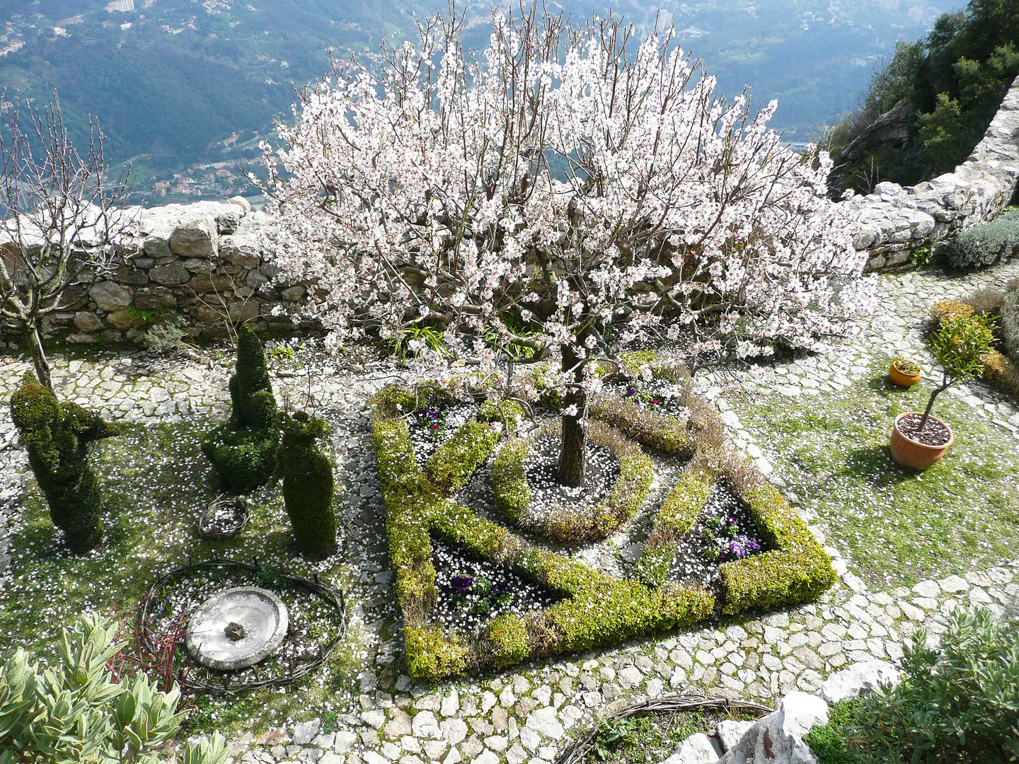 Jardin Médiéval (SainteAgnès) Le Pass Cote d'Azur France