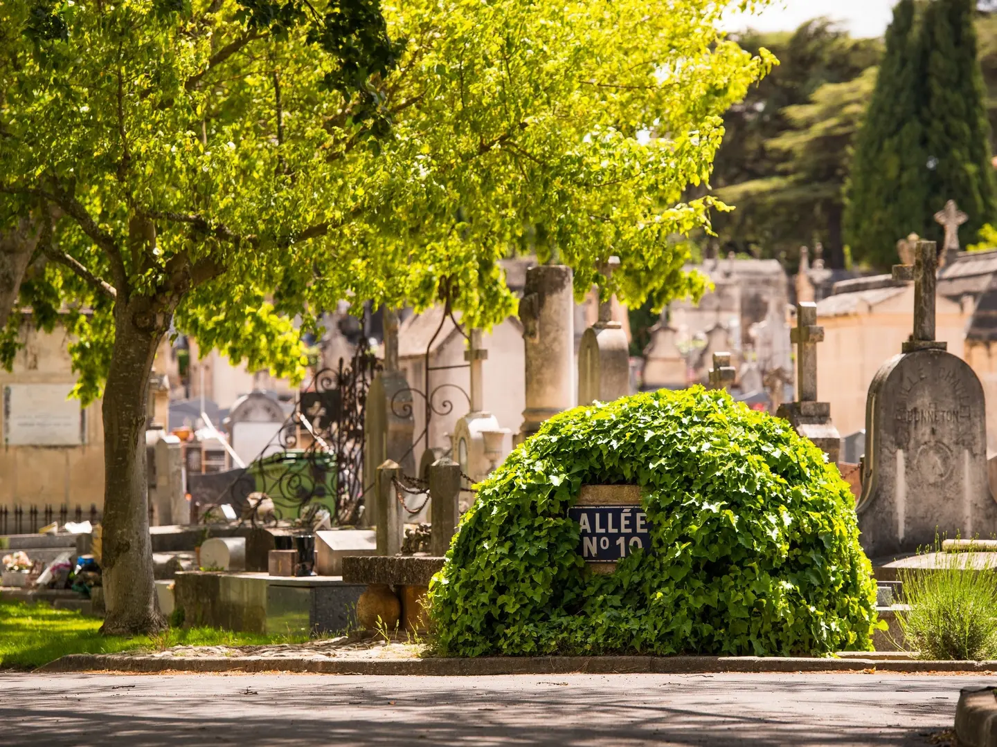 Cimetière Saint-Pierre (Aix-en-Provence) | Provence-Alpes-Côte d'Azur