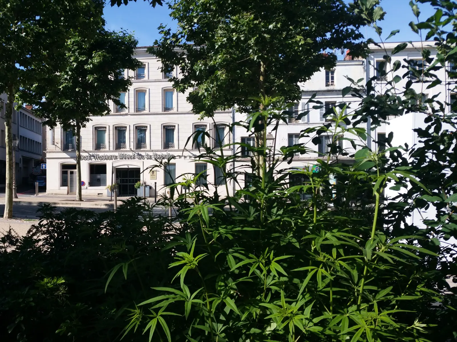 Le Best Western 