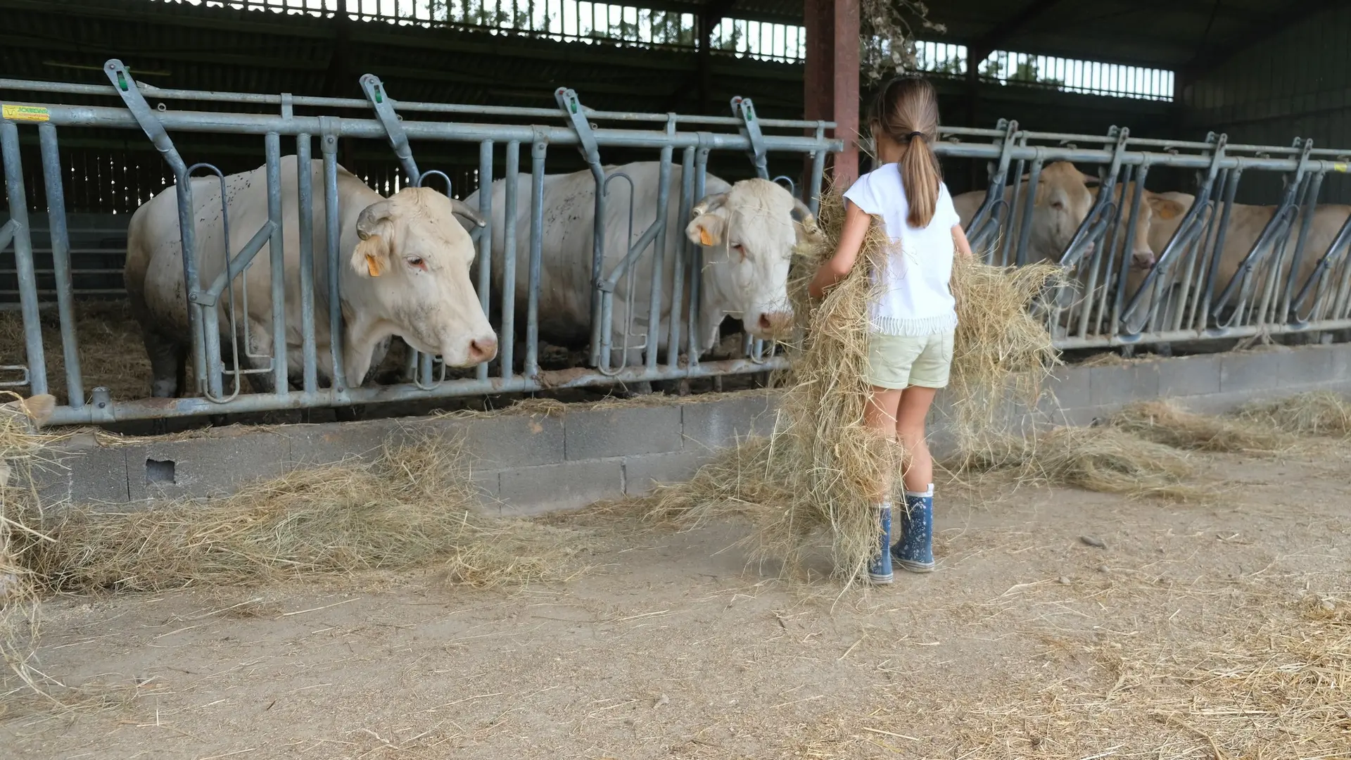 Les apprentis Eleveurs