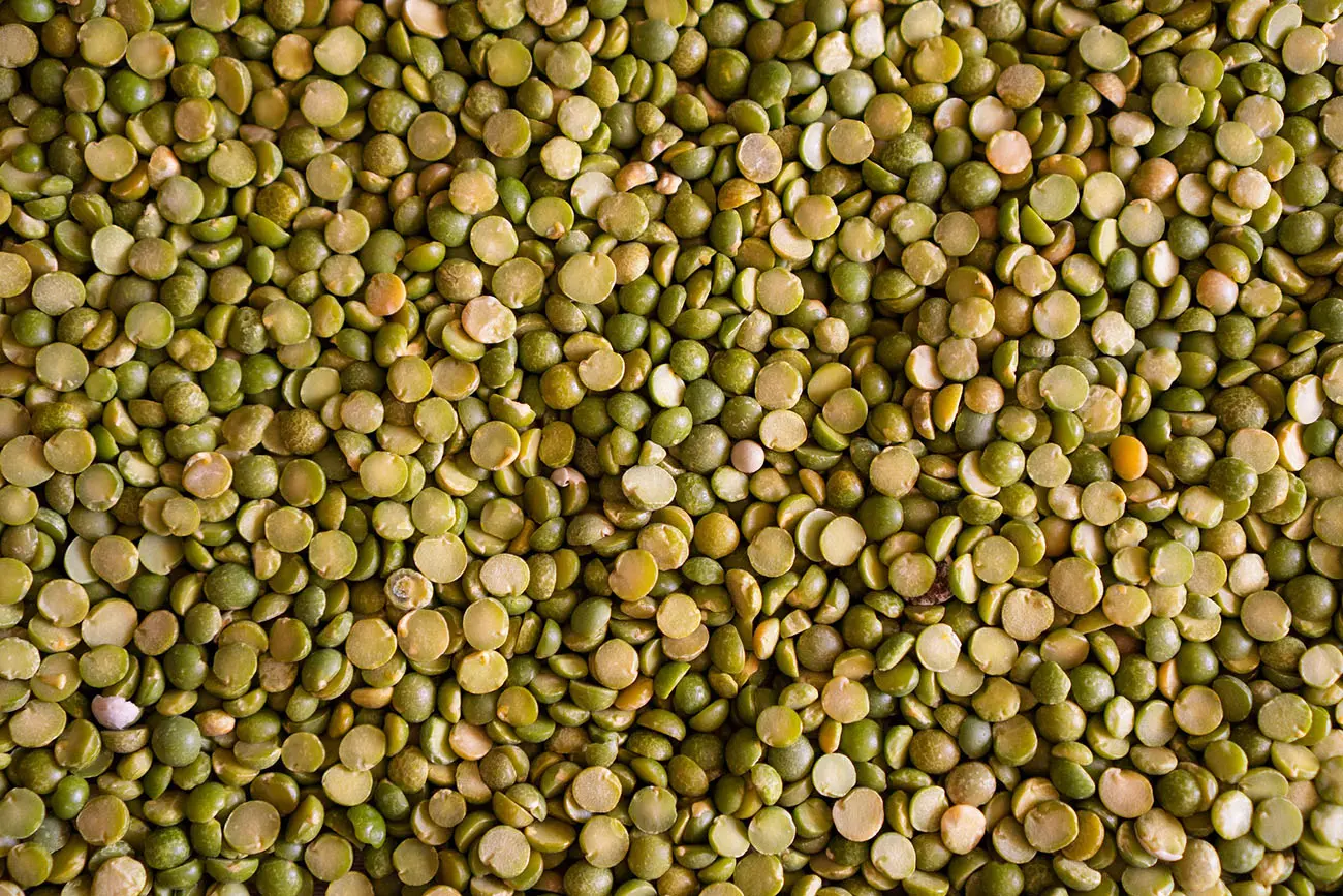 Plant de lentilles < Grandlup < Aisne < Picardie