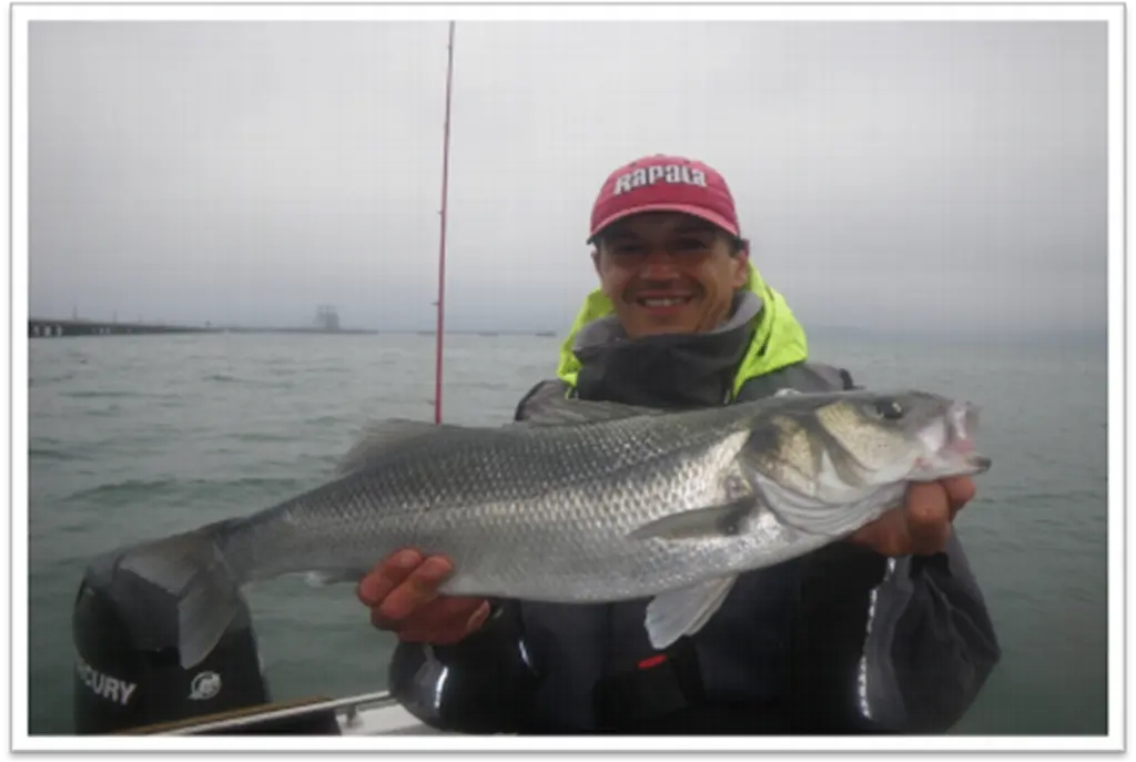 Bretagne Esprit Peche - La Trinite sur Mer - Morbihan Bretagne Sud