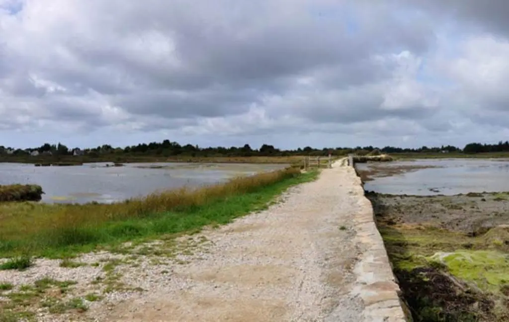 amis-des-chemins-de-ronde-morbihan-bretagne-sud