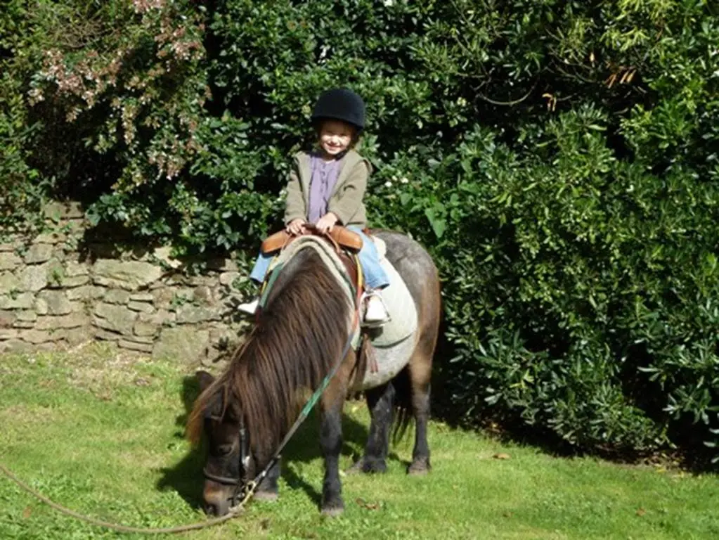 Centre équestre de Kerlarno Marzan - Poney