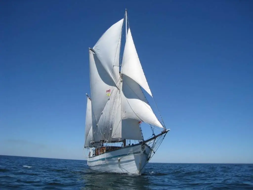 toutes voiles dehors.,il a fière allure!