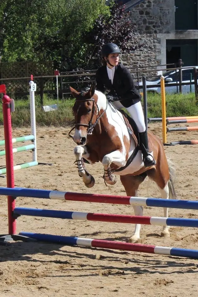 -Centre-equestre-plerguer