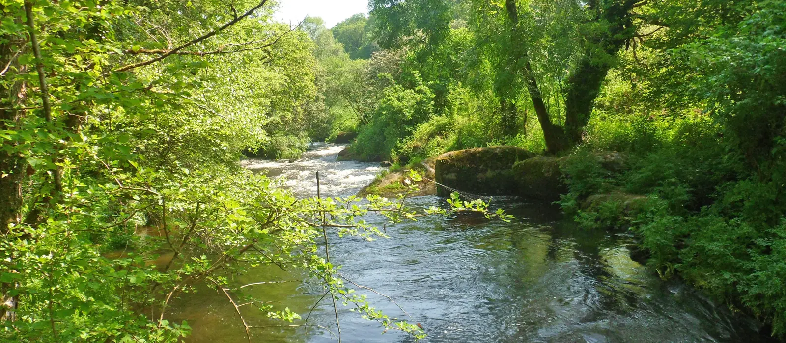 Maison-du-Scorff-Cleguer