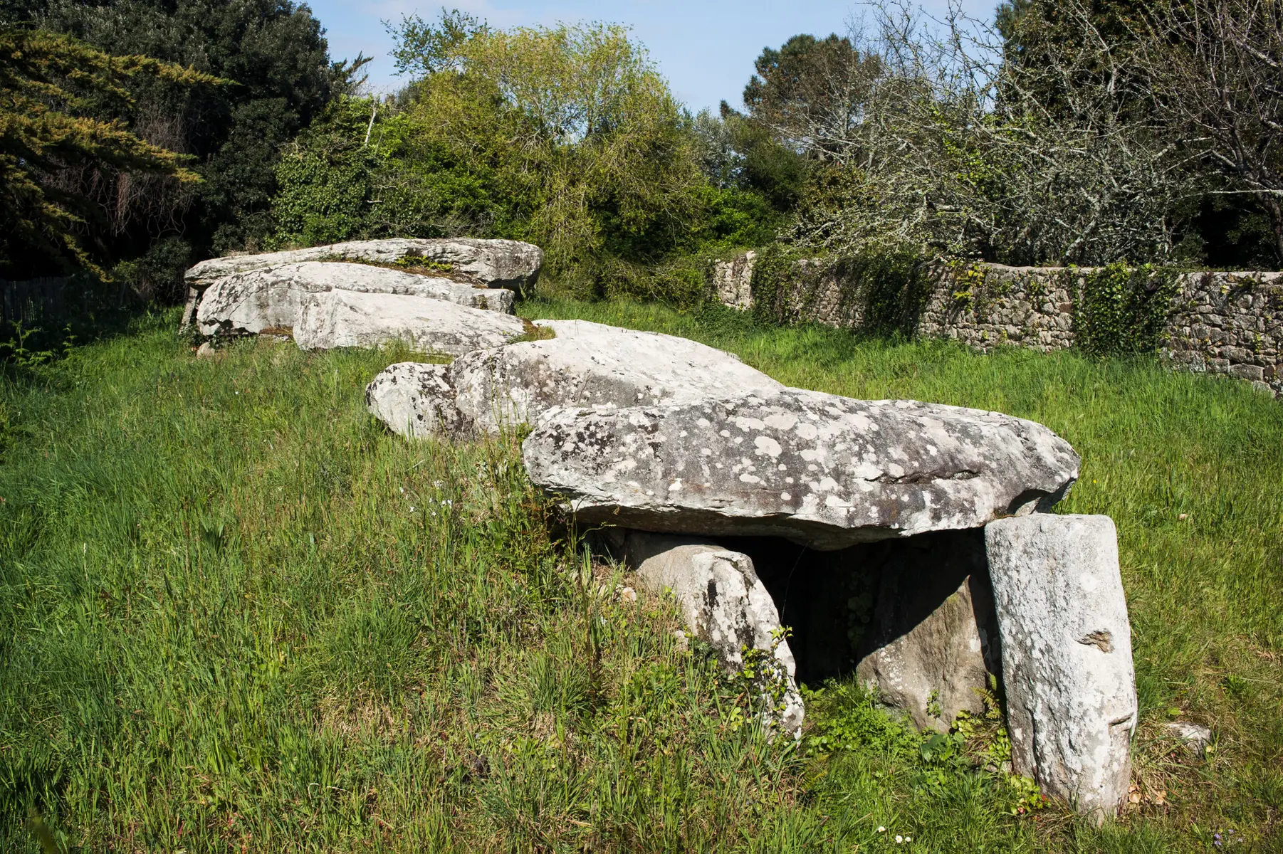 1.jpg_compressed (1)