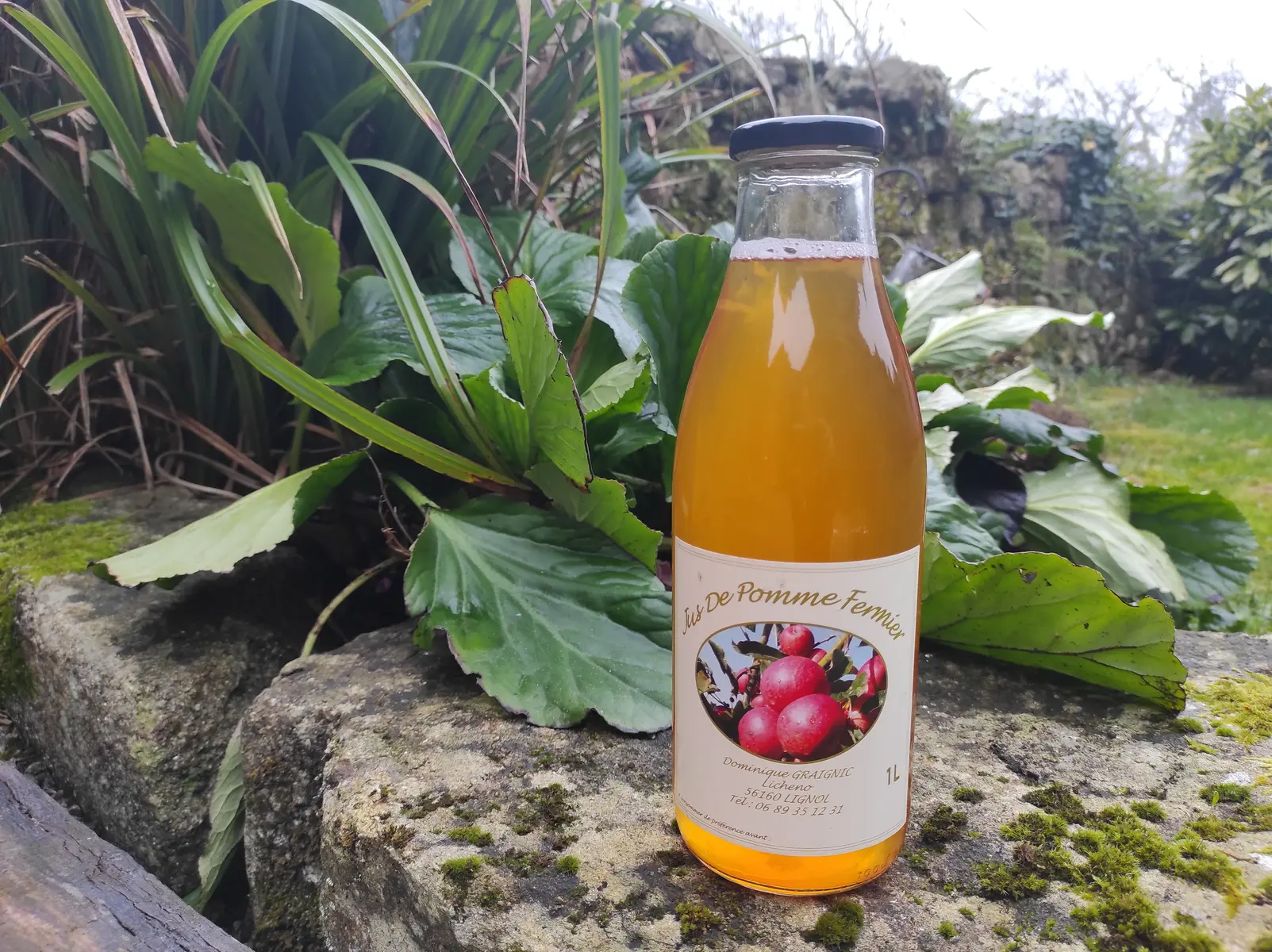 2025_DEG_Cidre_Graignic©OTPRM